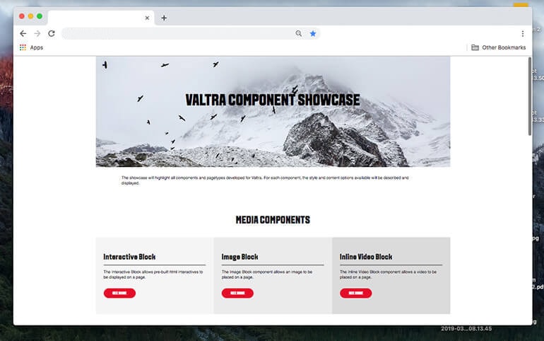 Dev vendor module documentation