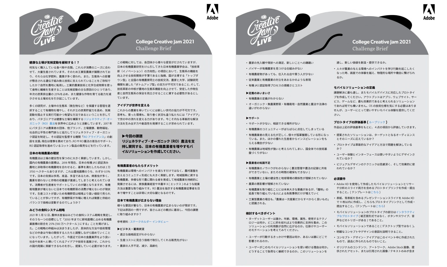 Creative brief distributed to the students at College Creative Jam 2021