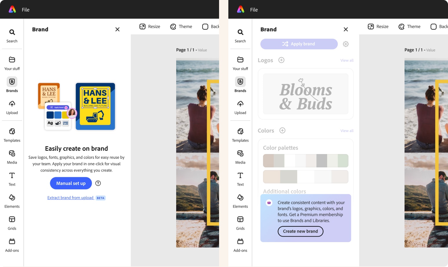 Brand panel demo showing logos, fonts, colors, and graphics together